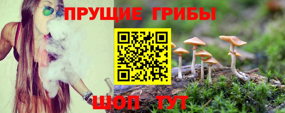 Самара  что такое   Вход с VPN  Псилоцибиновые грибы MAGIC MUSHROOMS 